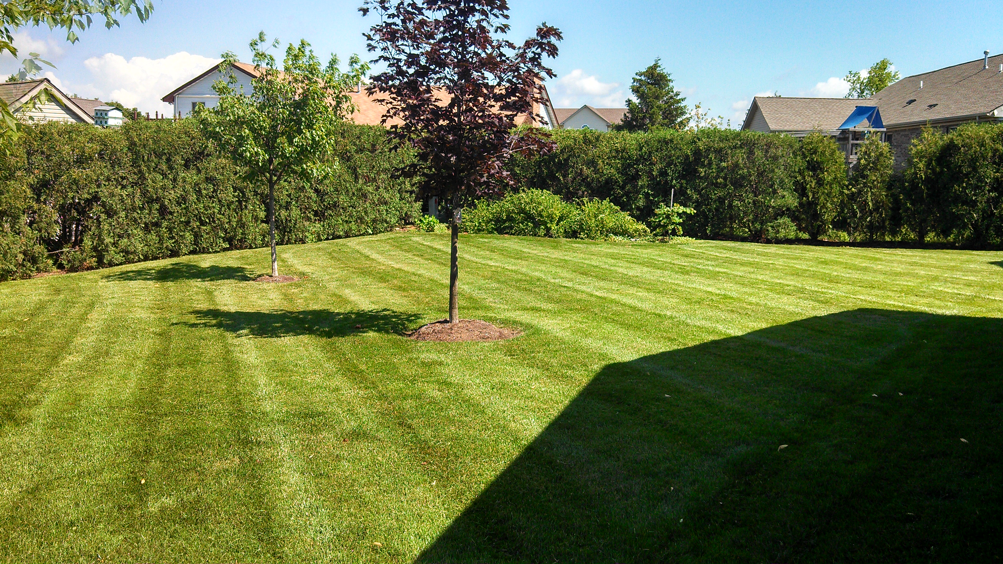 Springboro OH Lawn Service PRO Dayton Lawn Mowing
