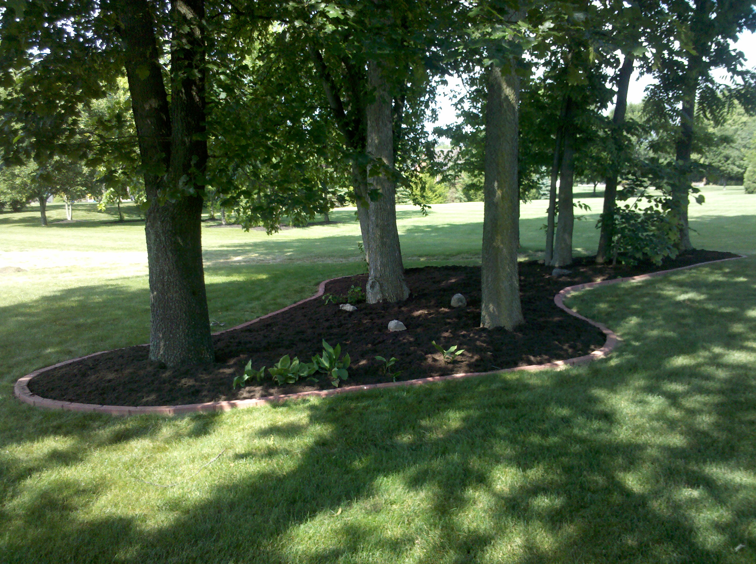 Springboro OH Lawn Service PRO Dayton Lawn Mowing